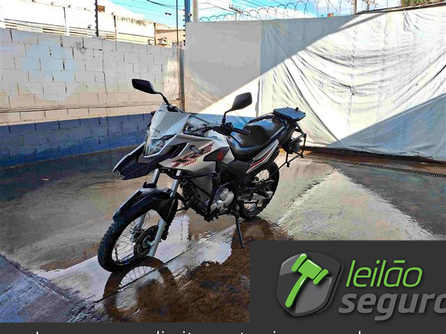 LOTE 015 HONDA XRE 300 ABS 2019