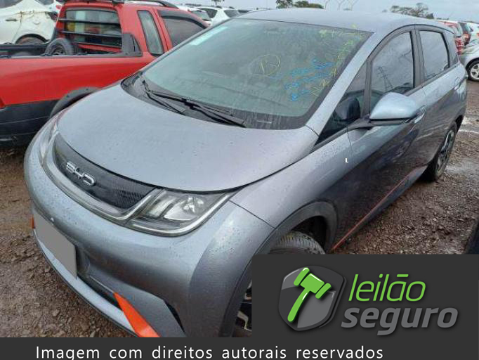 LOTE 019 BYD DOLPHIN 2024