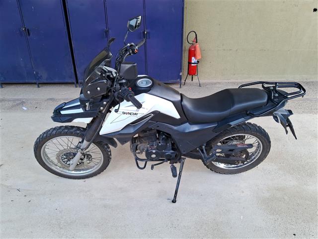 LOTE 028 SHI 175 2023/2024